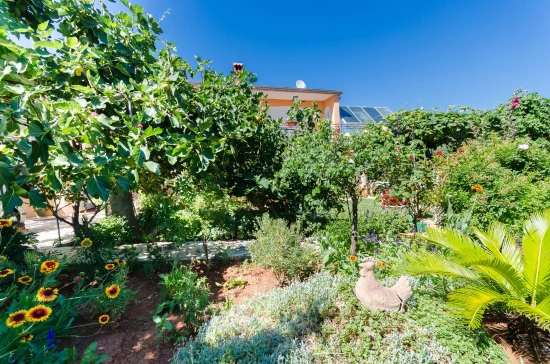 Apartmán Istrie - Pula IS 7002 N2