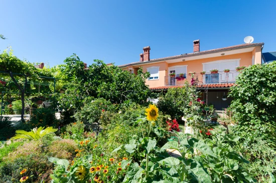 Apartmán Istrie - Pula IS 7002 N3