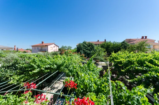 Apartmán Istrie - Pula IS 7002 N3