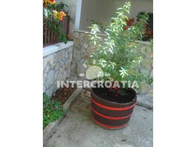 Domek Istrie - Žminj IS 7006 N1