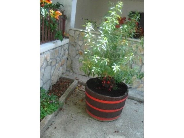 Domek Istrie - Žminj IS 7006 N1