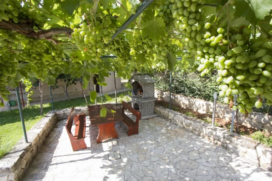 Domek Istrie - Rovinj IS 7009 N1