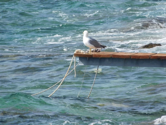 Apartmán Ostrov Vis - Milna (Hvar) OS 9086 N3