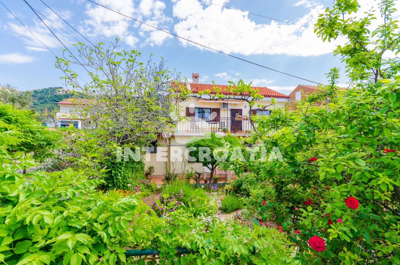 Apartmán Ostrov Rab - Barbat OS 9089 N1