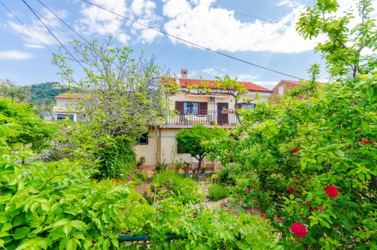 Apartmán Ostrov Rab - Barbat OS 9089 N1