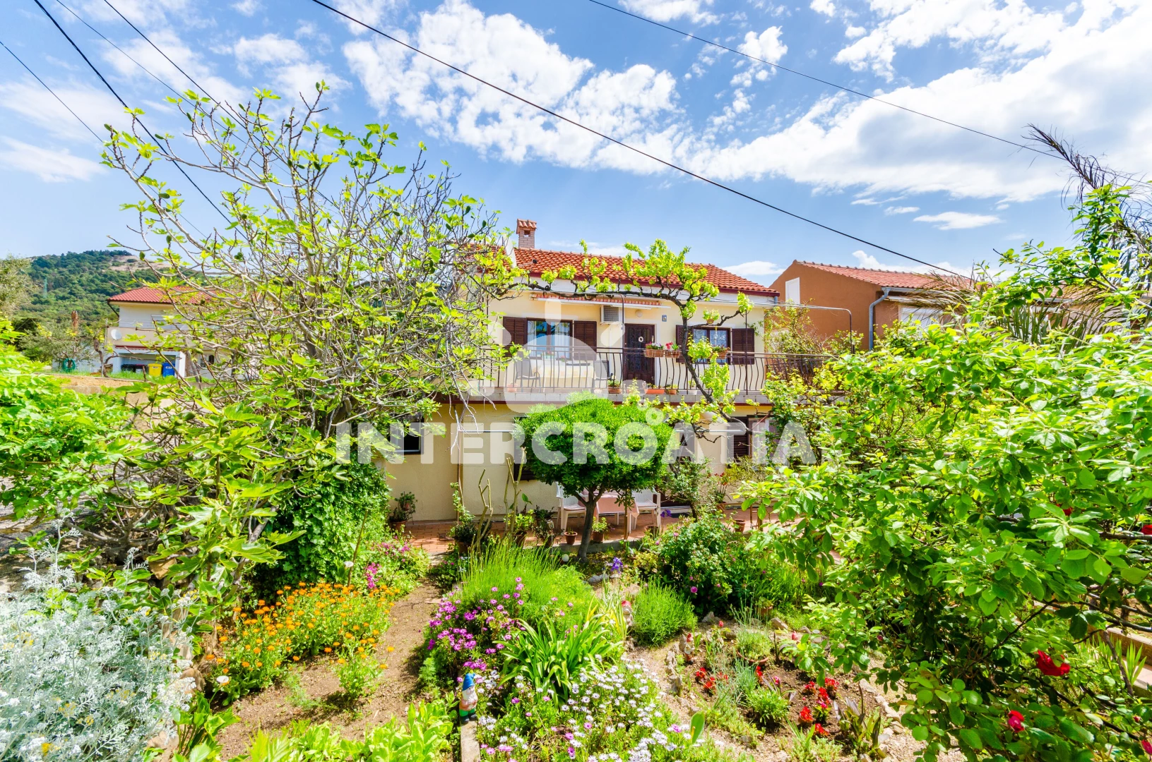 Apartmán Ostrov Rab - Barbat OS 9089 N2