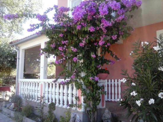 Apartmán Ostrov Krk - Malinska OS 9090 N2