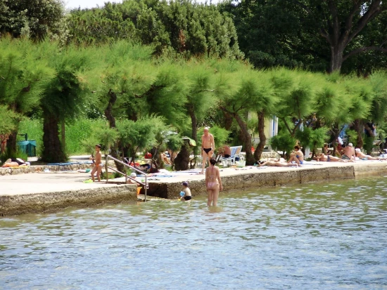 Apartmán Ostrov Krk - Punat OS 9092 N1