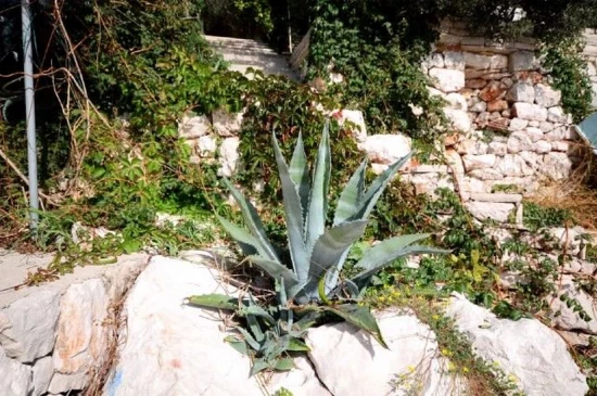 Apartmán Ostrov Korčula - Prižba OS 9096 N1