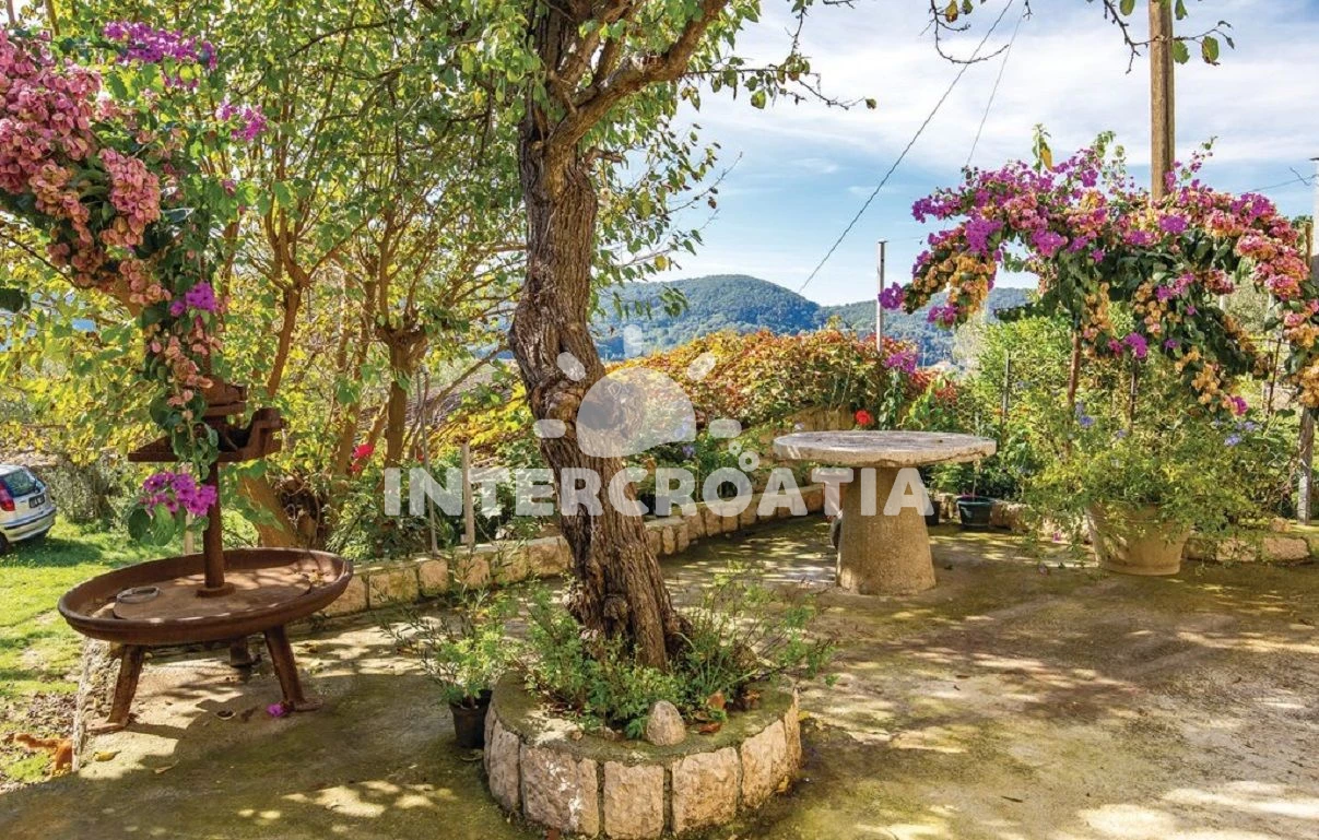 Domek Ostrov Rab - Rab OS 9100 N1