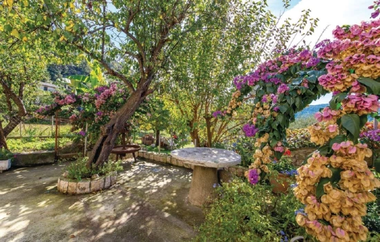 Domek Ostrov Rab - Rab OS 9100 N1