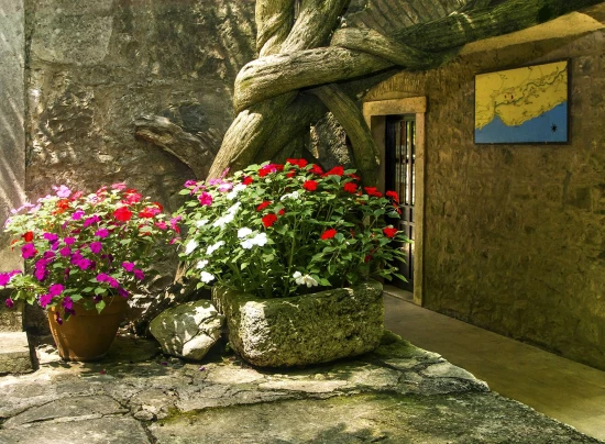 Apartmánový pokoj Střední Dalmácie - Podašpilje DA 7041 N1