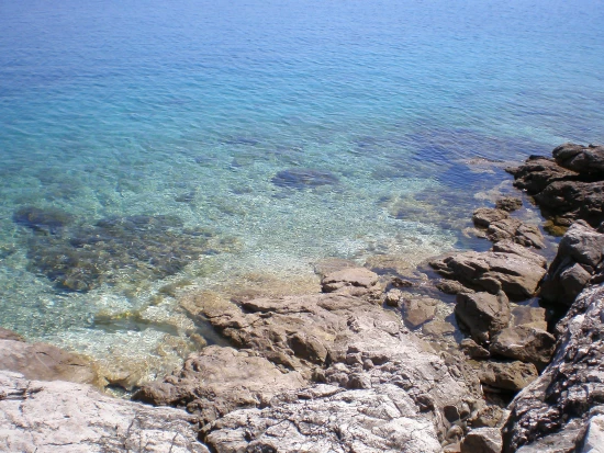 Apartmán Ostrov Zverinac OS 9109 N1