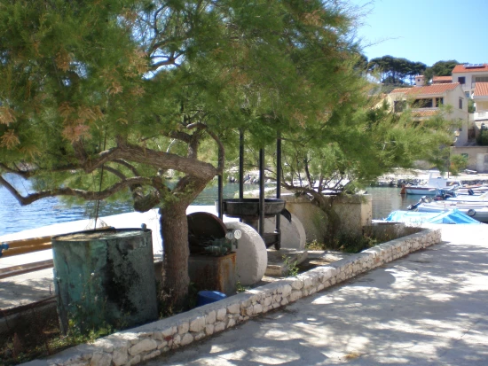 Apartmán Ostrov Zverinac OS 9109 N1