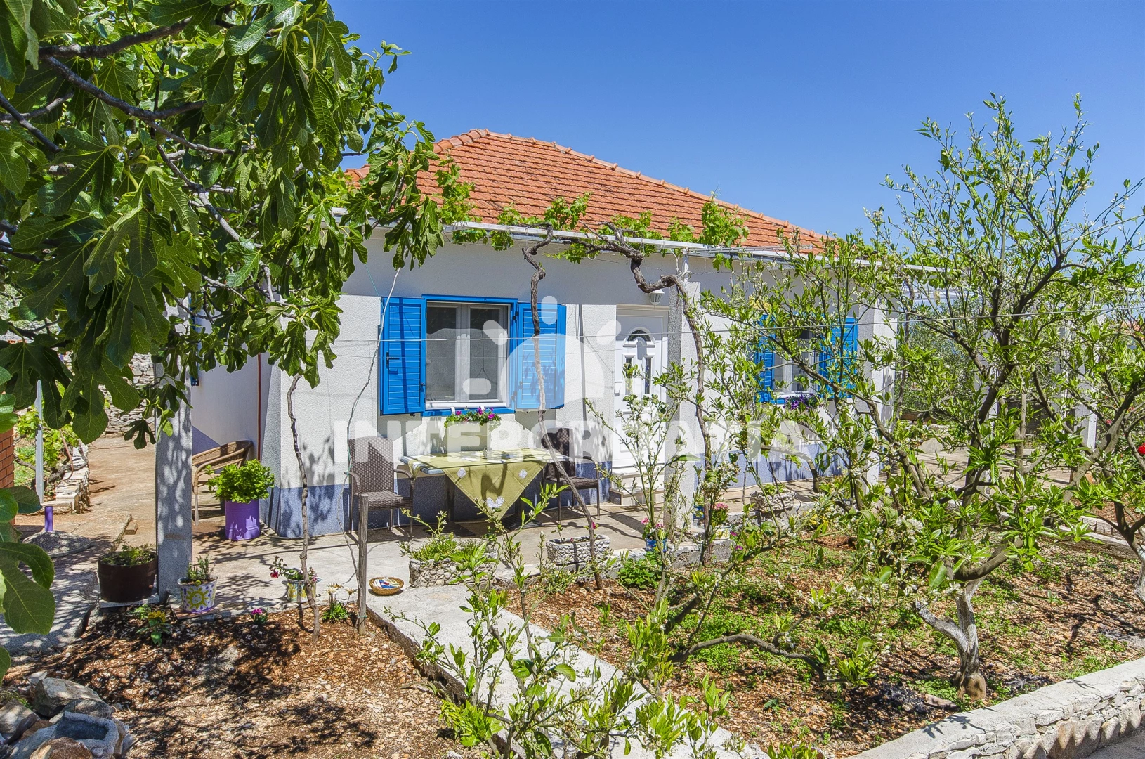 Domek Ostrov Šolta - Grohote OS 9110 N1