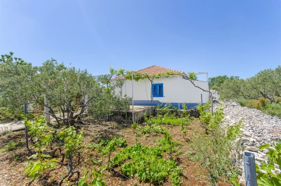 Domek Ostrov Šolta - Grohote OS 9110 N1