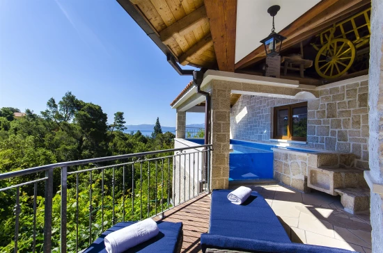 Vila Střední Dalmácie - Živogošče DA 7057 N1