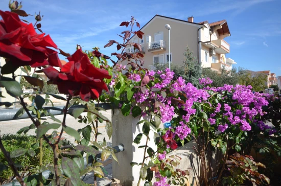 Apartmán Severní Dalmácie - Vodice DA 7059 N1