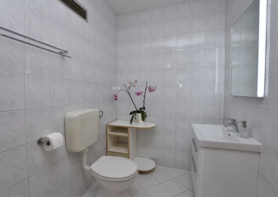 Apartmán Severní Dalmácie - Primošten DA 7086 N2