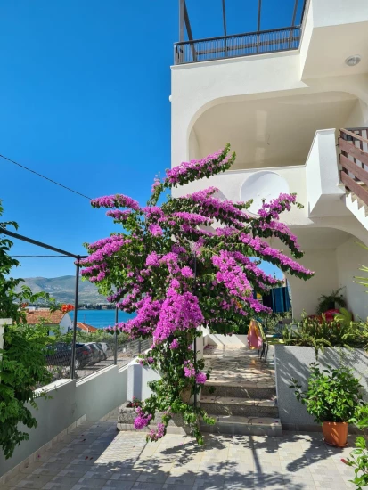 Apartmán Střední Dalmácie - Arbanija (Čiovo) DA 7088 N1