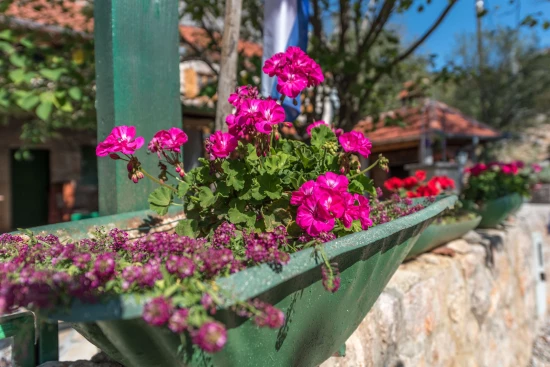 Domek Severní Dalmácie - Starigrad Paklenica DA 7094 N1