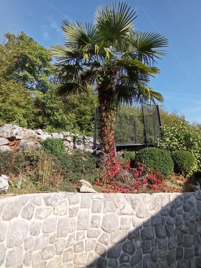 Apartmán Kvarner - Matulji KV 7046 N2