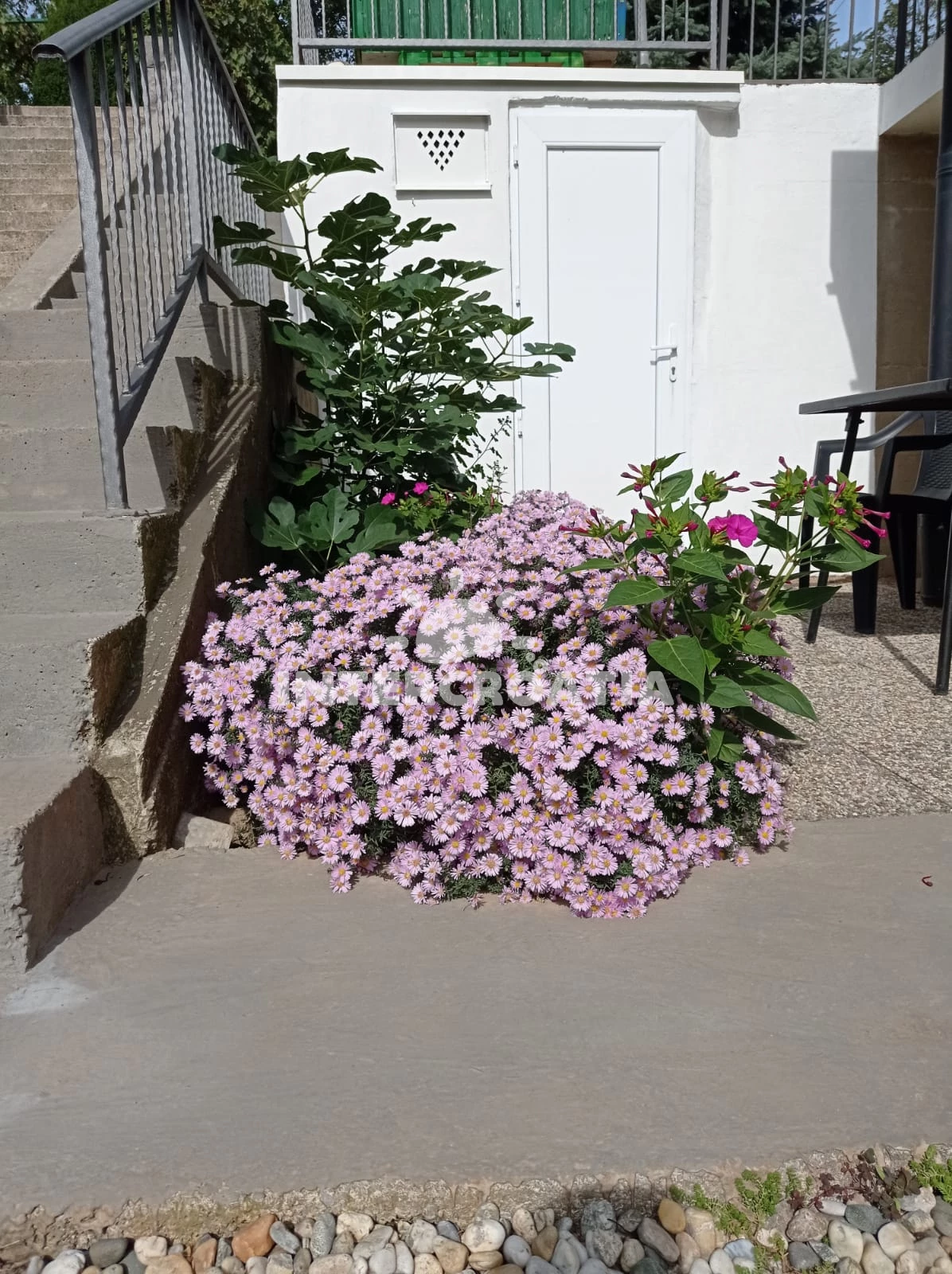 Apartmán Kvarner - Matulji KV 7046 N2