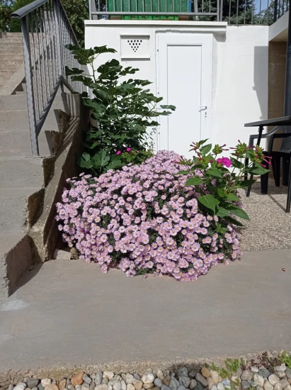 Apartmán Kvarner - Matulji KV 7046 N2