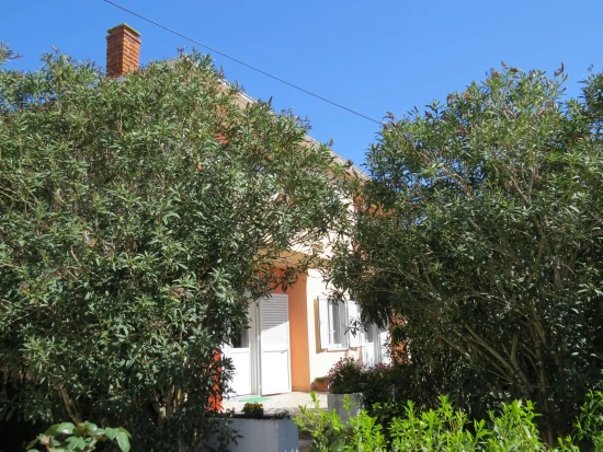 Apartmán Ostrov Pag - Novalja OS 9126 N2