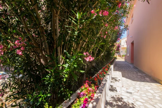 Apartmán Ostrov Pag - Novalja OS 9126 N4