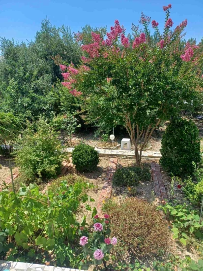 Apartmán Ostrov Rab - Banjol OS 9129 N1