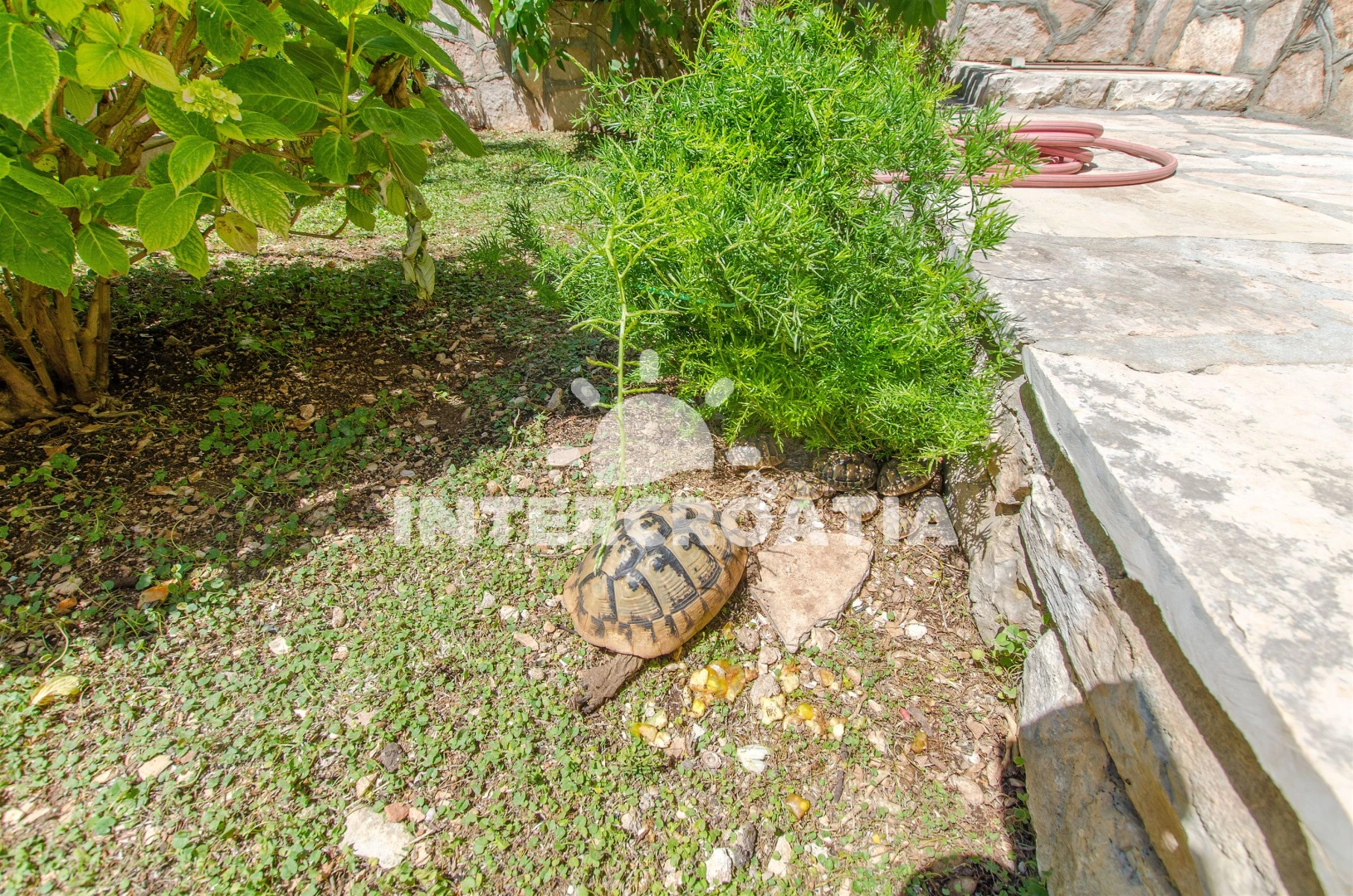 Apartmán Ostrov Brač - Milna (Hvar) OS 9132 N1