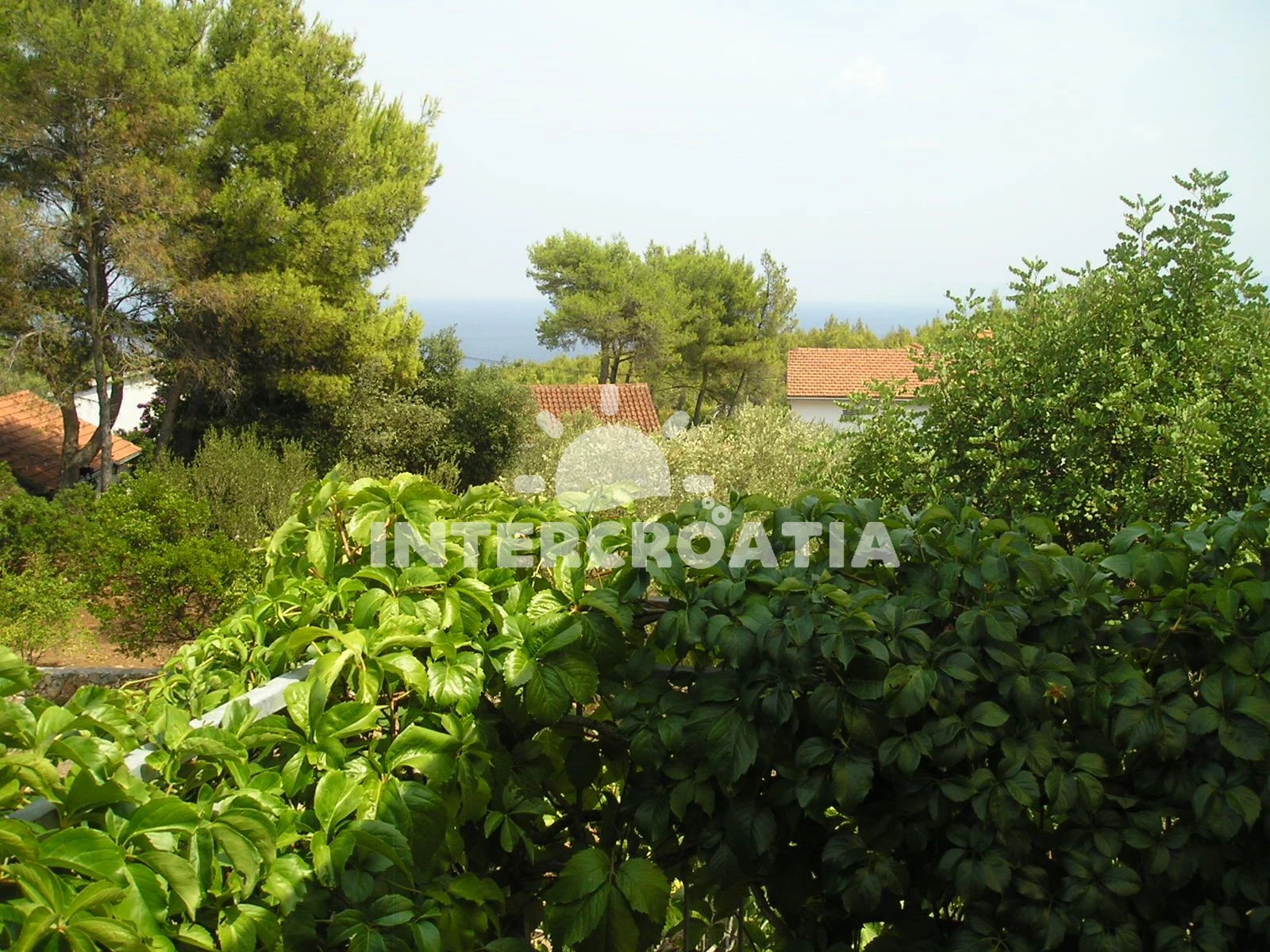 Apartmán Ostrov Hvar - Basina OS 9135 N1