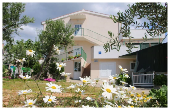 Apartmán Severní Dalmácie - Primošten DA 7107 N2