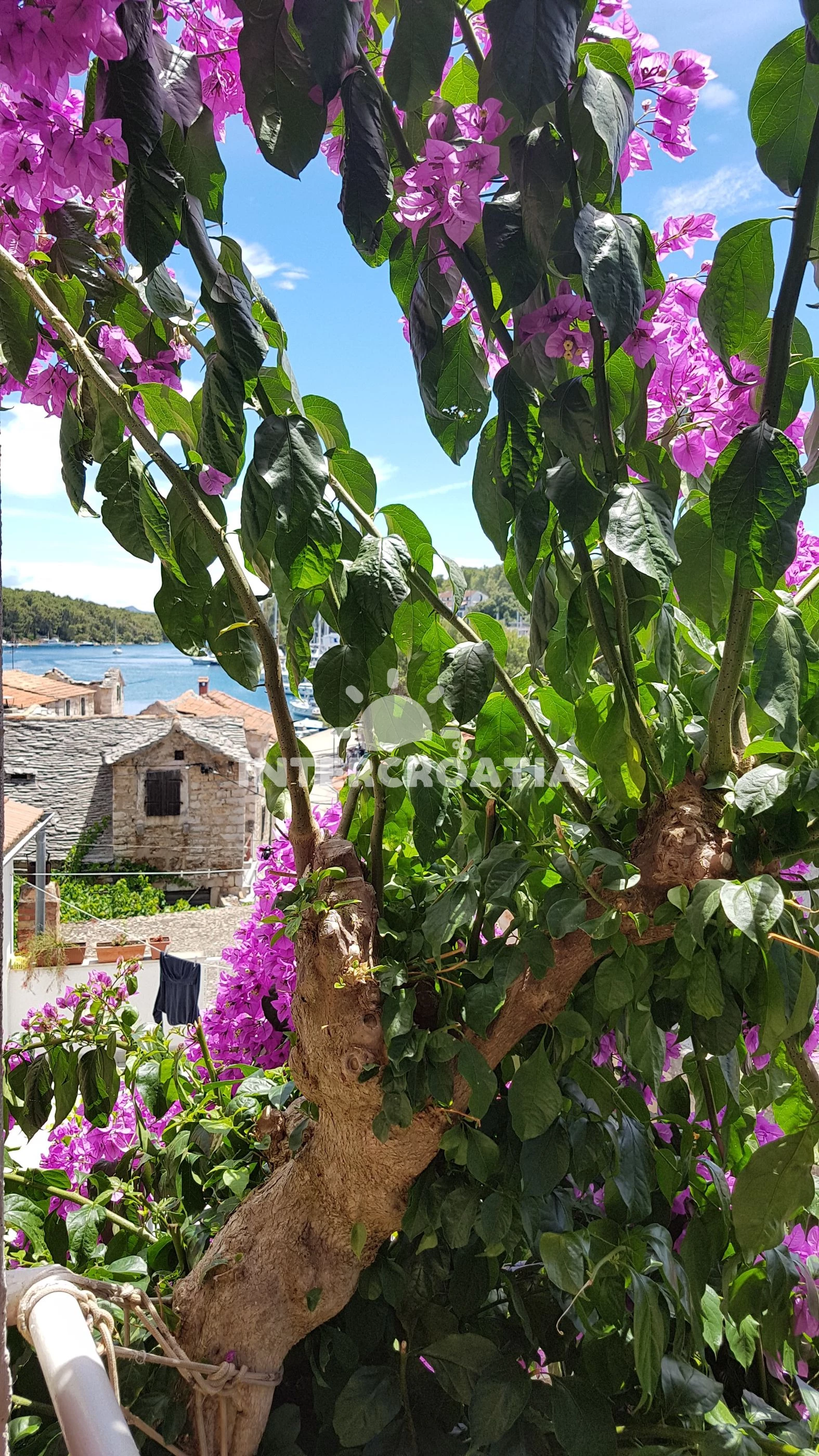 Apartmánový pokoj Ostrov Hvar - Vrboska OS 9139 N2