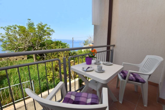 Apartmán Střední Dalmácie - Brela DA 7122 N1