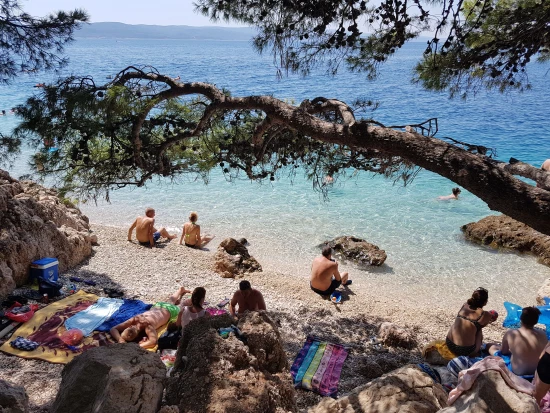 Apartmán Střední Dalmácie - Brela DA 7122 N1