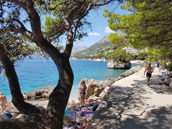 Apartmán Střední Dalmácie - Brela DA 7122 N1