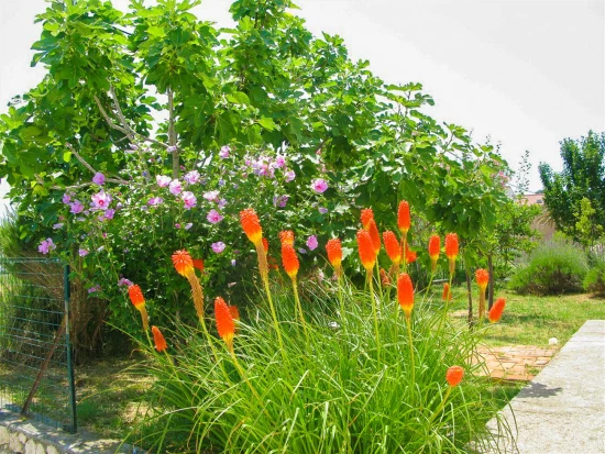 Apartmán Ostrov Rab - Palit OS 9149 N2