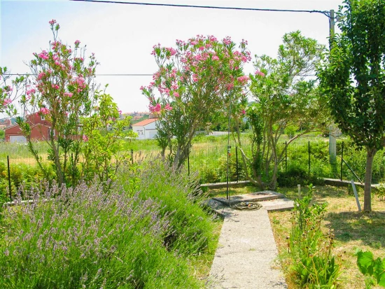 Apartmán Ostrov Rab - Palit OS 9149 N3