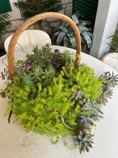 Apartmán Ostrov Brač - Postira OS 9151 N1