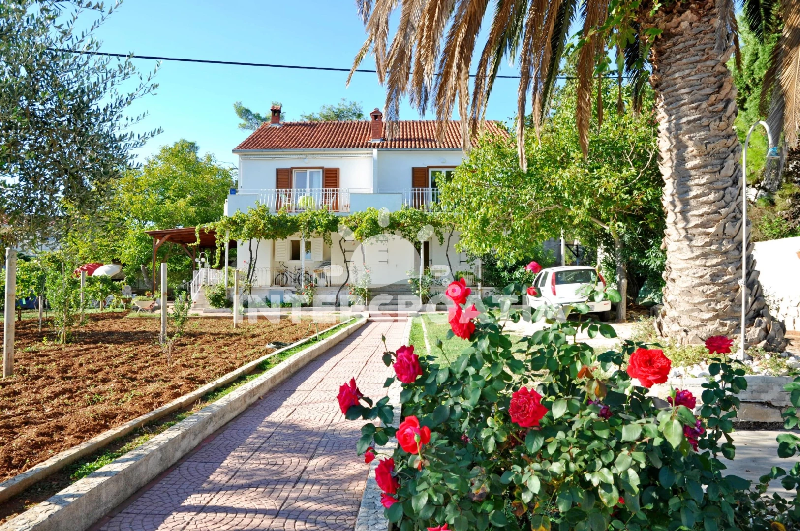 Apartmán Ostrov Brač - Sutivan OS 9153 N1