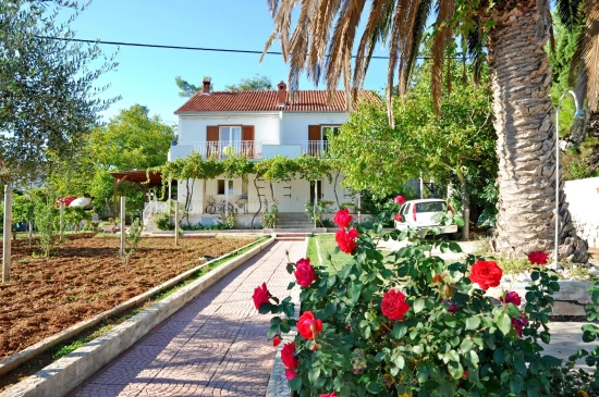 Apartmán Ostrov Brač - Sutivan OS 9153 N1