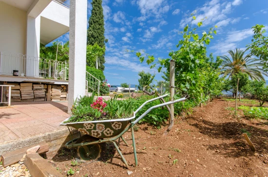 Apartmán Ostrov Brač - Sutivan OS 9153 N1