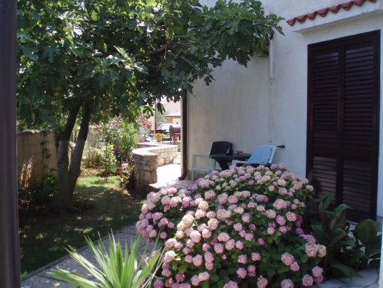 Apartmánový pokoj Istrie - Medulin IS 7018 N2