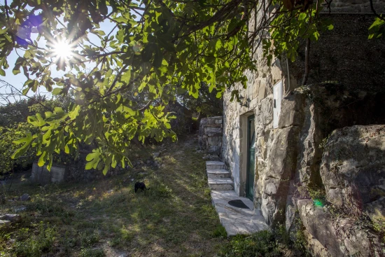 Domek Střední Dalmácie - Gata (Omiš) DA 7132 N1