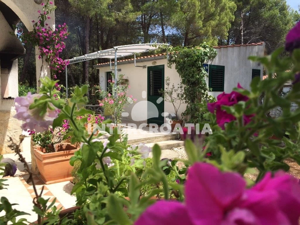 Apartmán Ostrov Dugi otok - Veli Rat OS 9162 N1