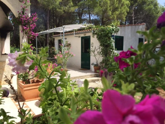 Apartmán Ostrov Dugi otok - Veli Rat OS 9162 N1