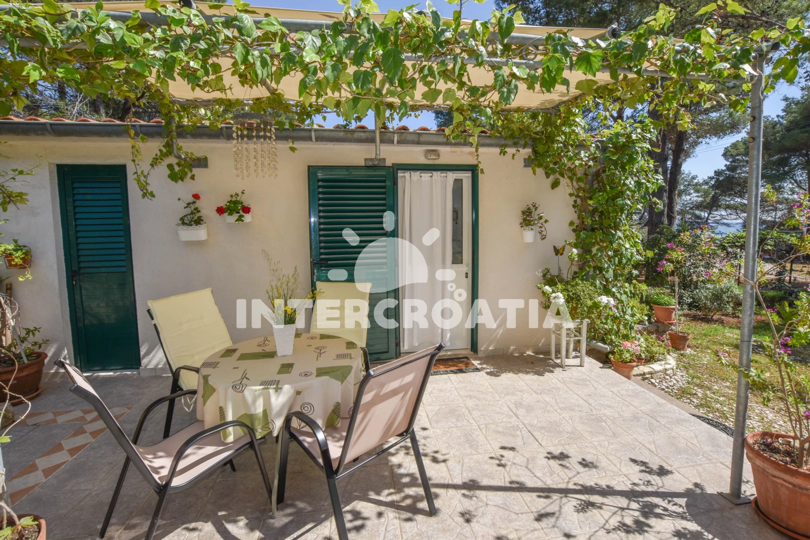 Apartmán Ostrov Dugi otok - Veli Rat OS 9162 N1