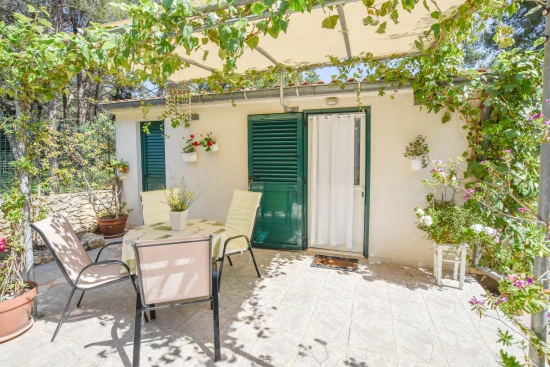 Apartmán Ostrov Dugi otok - Veli Rat OS 9162 N1